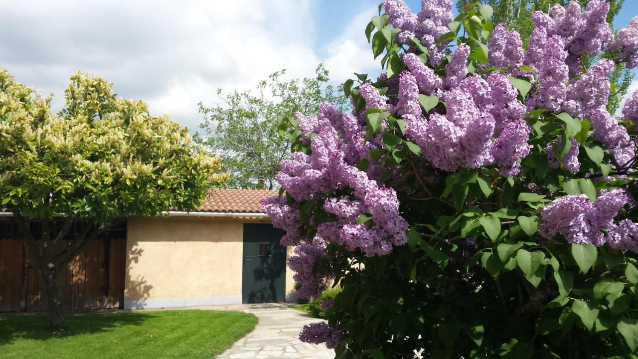 Casa Rural Las Tuyas En Segovia Palazuelos de Eresma Exteriör bild